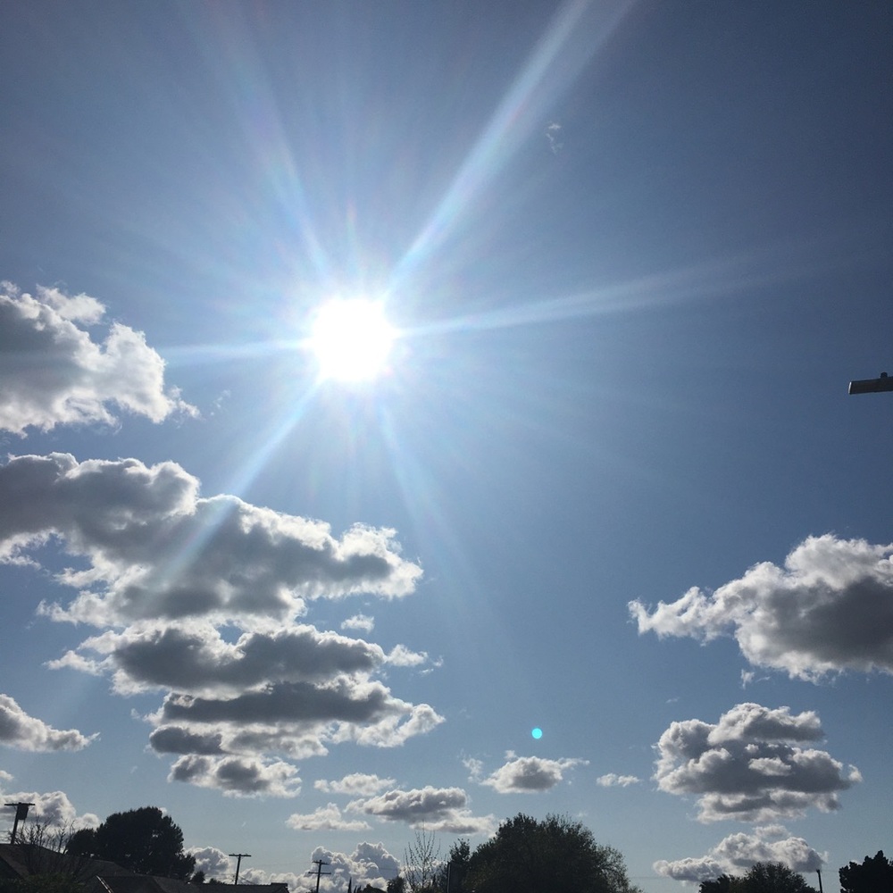 Meet your Posher, Angie